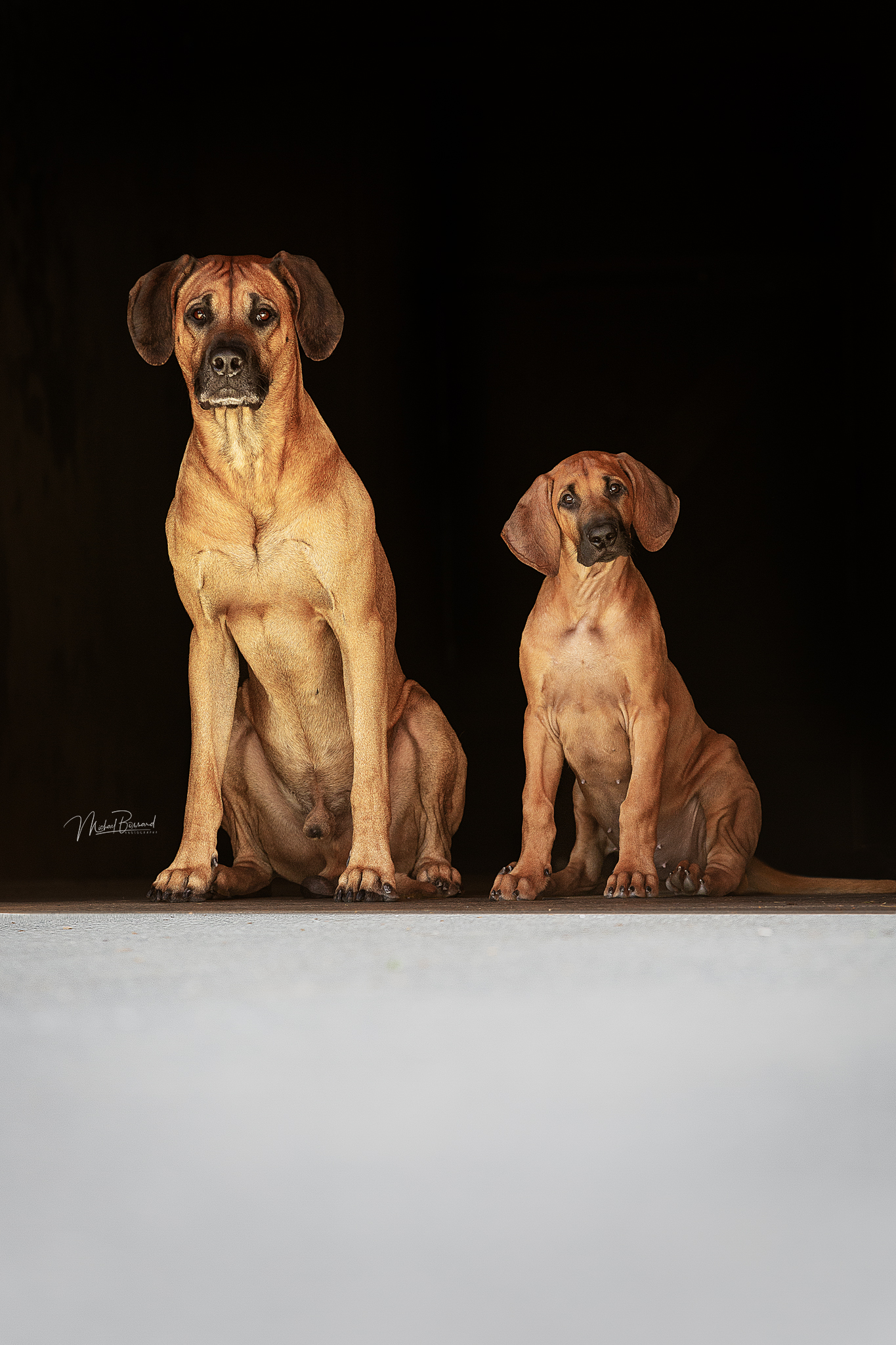 shurubu a team scott by george4